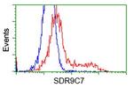 SDR9C7 Antibody in Flow Cytometry (Flow)