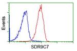 SDR9C7 Antibody in Flow Cytometry (Flow)
