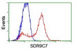 SDR9C7 Antibody in Flow Cytometry (Flow)