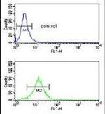 SDPR Antibody in Flow Cytometry (Flow)