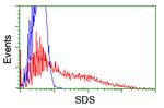 SDS Antibody in Flow Cytometry (Flow)