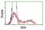 SDS Antibody in Flow Cytometry (Flow)