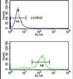 SDS Antibody in Flow Cytometry (Flow)