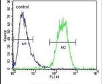 SEC13 Antibody in Flow Cytometry (Flow)