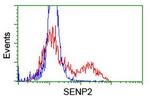 SENP2 Antibody in Flow Cytometry (Flow)