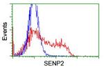 SENP2 Antibody in Flow Cytometry (Flow)