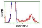 SERPINA1 Antibody in Flow Cytometry (Flow)