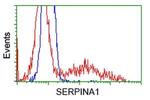 SERPINA1 Antibody in Flow Cytometry (Flow)