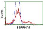 SERPINA5 Antibody in Flow Cytometry (Flow)