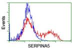 SERPINA5 Antibody in Flow Cytometry (Flow)