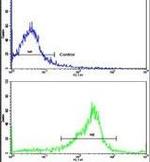 SERPINA9 Antibody in Flow Cytometry (Flow)