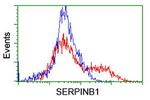 SERPINB1 Antibody in Flow Cytometry (Flow)