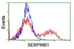 SERPINB1 Antibody in Flow Cytometry (Flow)