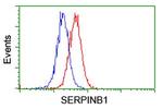 SERPINB1 Antibody in Flow Cytometry (Flow)