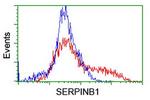 SERPINB1 Antibody in Flow Cytometry (Flow)
