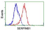 SERPINB1 Antibody in Flow Cytometry (Flow)