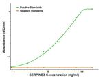 SERPINB3 Antibody in ELISA (ELISA)