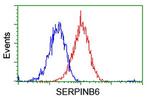 SERPINB6 Antibody in Flow Cytometry (Flow)