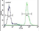 Neuroserpin Antibody in Flow Cytometry (Flow)