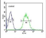 CLASRP Antibody in Flow Cytometry (Flow)