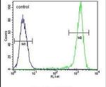 SGMS2 Antibody in Flow Cytometry (Flow)