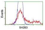 SH2B3 Antibody in Flow Cytometry (Flow)