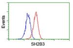SH2B3 Antibody in Flow Cytometry (Flow)