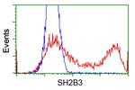 SH2B3 Antibody in Flow Cytometry (Flow)