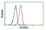 SH2B3 Antibody in Flow Cytometry (Flow)