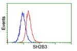 SH2B3 Antibody in Flow Cytometry (Flow)