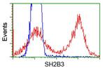 SH2B3 Antibody in Flow Cytometry (Flow)