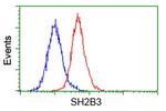 SH2B3 Antibody in Flow Cytometry (Flow)