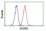 SH2B3 Antibody in Flow Cytometry (Flow)