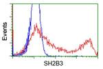 SH2B3 Antibody in Flow Cytometry (Flow)
