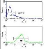 SH2D1B Antibody in Flow Cytometry (Flow)
