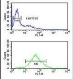 SHCBP1 Antibody in Flow Cytometry (Flow)
