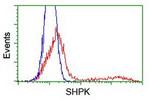 SHPK Antibody in Flow Cytometry (Flow)