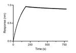 Human IgE VHH Secondary Antibody in Functional Assay (Functional)