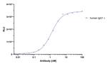 Human IgG/rabbit IgG, Fc-specific VHH Secondary Antibody in ELISA (ELISA)