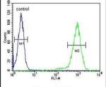 ST8SIA3 Antibody in Flow Cytometry (Flow)