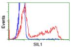 SIL1 Antibody in Flow Cytometry (Flow)