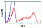 SIL1 Antibody in Flow Cytometry (Flow)