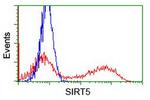 SIRT5 Antibody in Flow Cytometry (Flow)