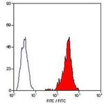 SLA Class I Monoclonal Antibody (JM1E3), FITC