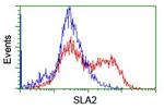 SLA2 Antibody in Flow Cytometry (Flow)