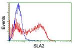 SLA2 Antibody in Flow Cytometry (Flow)