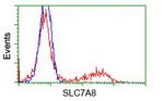 SLC7A8 Antibody in Flow Cytometry (Flow)