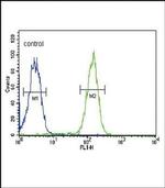 EBP50 Antibody in Flow Cytometry (Flow)