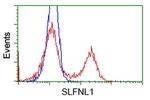 SLFNL1 Antibody in Flow Cytometry (Flow)