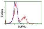 SLFNL1 Antibody in Flow Cytometry (Flow)